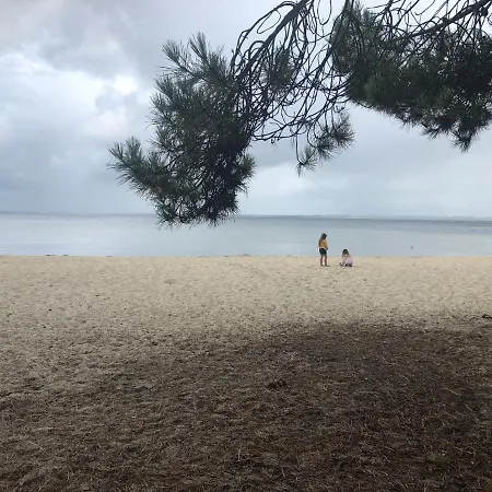 Σπίτι διακοπών Entre Lacs, Ocean Et Forets Pissos