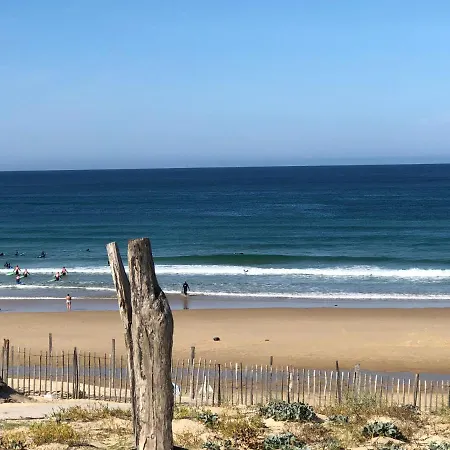 Entre Lacs, Ocean Et Forets Pissos