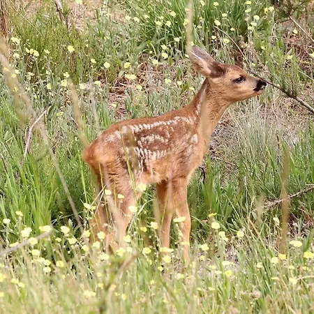 Entre Lacs, Ocean Et Forets Casa de Férias