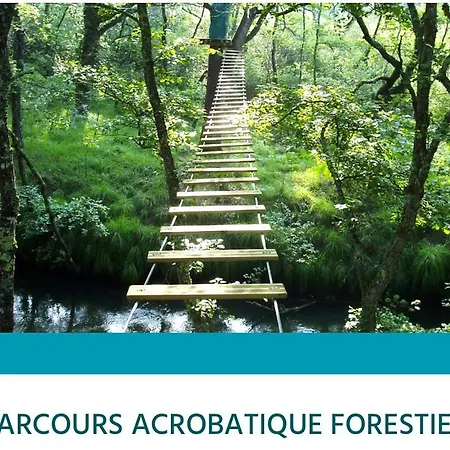 Entre Lacs, Ocean Et Forets Pissos