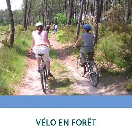 Entre Lacs, Ocean Et Forets * Pissos