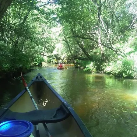 Entre Lacs, Ocean Et Forets Pissos
