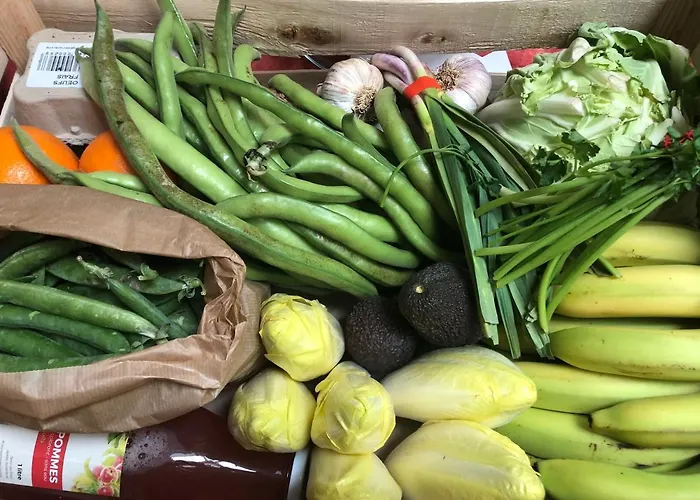 Entre Lacs, Ocean Et Forets Pissos