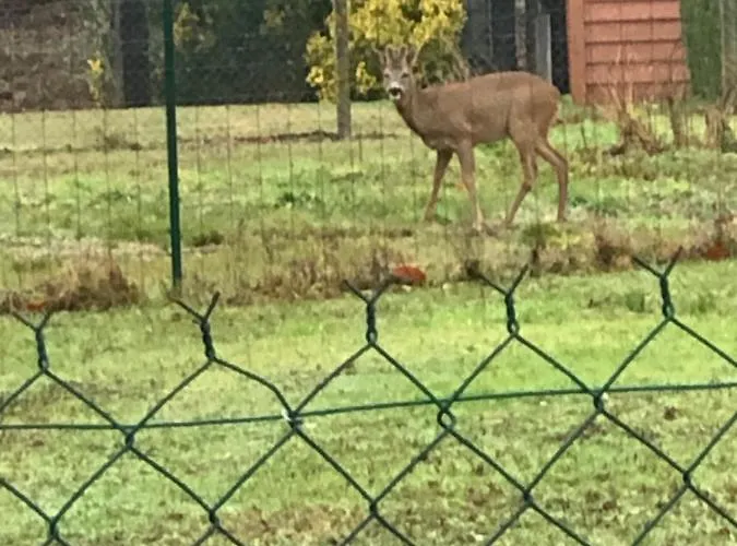 Entre Lacs, Ocean Et Forets Casa de Férias *