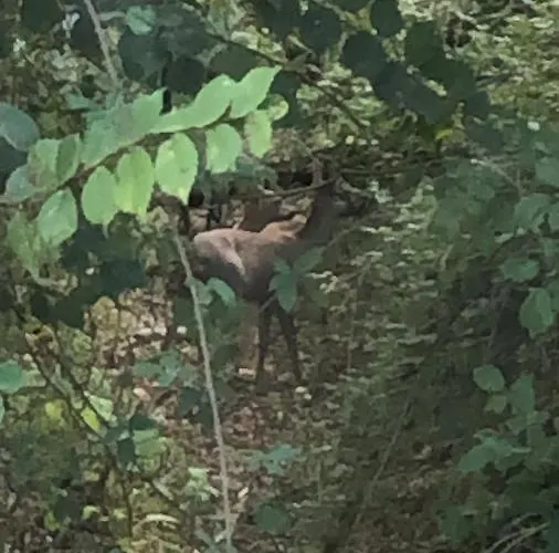 Entre Lacs, Ocean Et Forets Casa de Férias