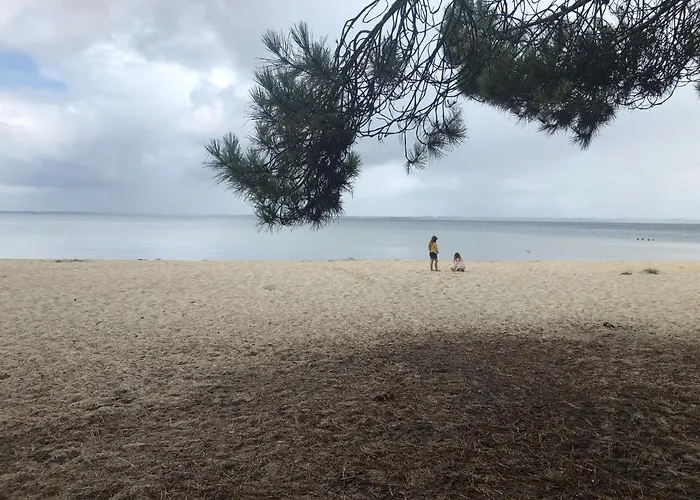 別荘 Entre Lacs, Ocean Et Forets Pissos