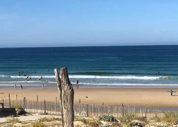 Entre Lacs, Ocean Et Forets Pissos