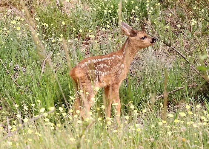 Entre Lacs, Ocean Et Forets Casa de Férias