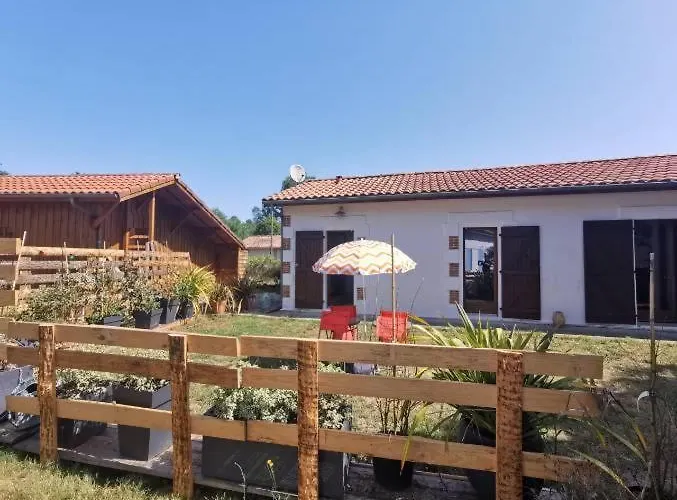 Entre Lacs, Ocean Et Forets